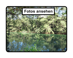 Fotos ansehen