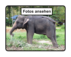 Fotos ansehen