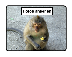 Fotos ansehen